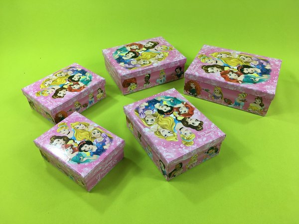 Disney Prinzessinnen 5 Boxen Set